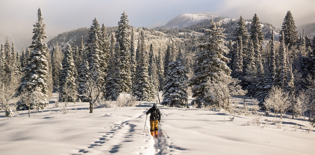 5 Apps That Help Make Backcountry Skiing Safer